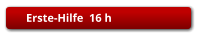 Erste-Hilfe  16 h